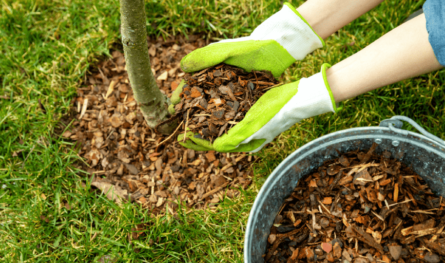 RVA Landscaping
